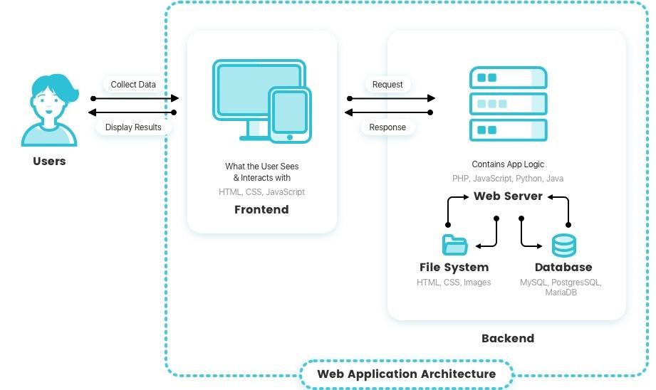 Professional Web Development Services